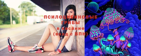 ECSTASY Нязепетровск