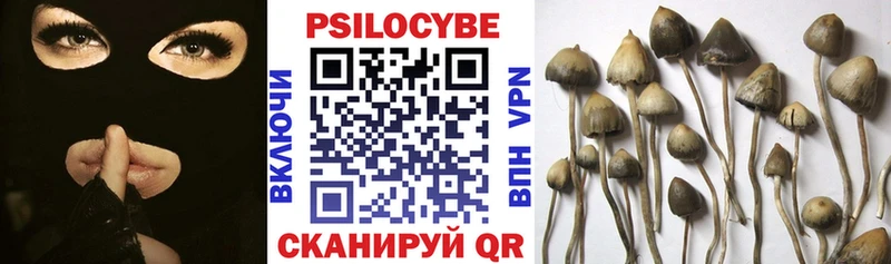 Псилоцибиновые грибы мицелий Калач
