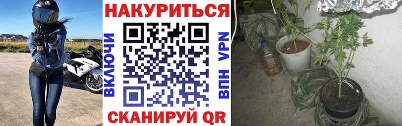 Шишки марихуана планчик Калач